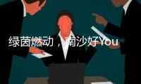 绿茵燃动，南沙好Young! 2025“百年名校杯”今日开幕