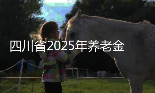 艰苦边远地区退休人员