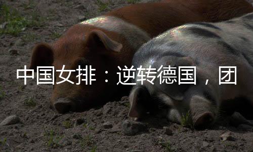 女排逆转龚翔宇表示