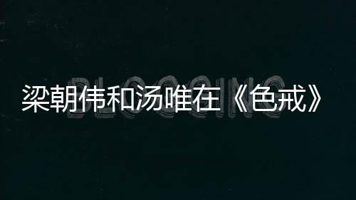 有本事封杀李安和梁朝伟啊