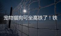 宠物猫狗可坐高铁了
！铁路12306推出“宠物托运”功能