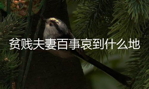 贫贱欢迎大家评论区留言哦