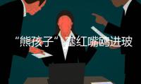 “熊孩子”塞红嘴鸥进玻璃瓶，护鸥队：抓鸥虐鸥有�，但比以前少