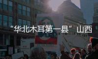 “华北木耳第一县”山西中阳：黑木耳成“富民恒业”