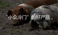 “小众冷门”的好产品，铂英特为您全面剖析无机涂料