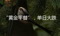 “黄金平替”，单日大跌6%