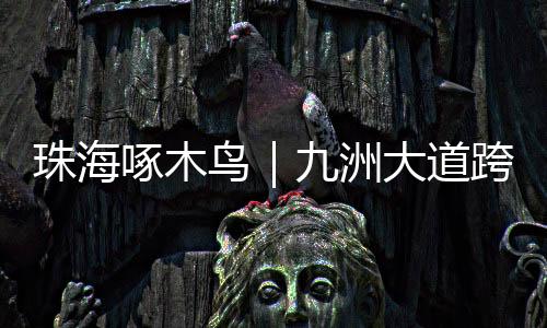 最终都会汇入九洲大道主线