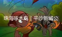 珠海啄木鸟｜平沙新城公交出行难，如何解决
？回应来了