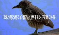 快排公司十年历程，霸屏兔 seo 的崛起与坚守