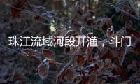 珠江流域河段开渔，斗门河鲜抢“鲜”上市