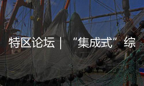集成式这种系统集成