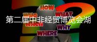 第二届中非经贸博览会湖南长沙开幕