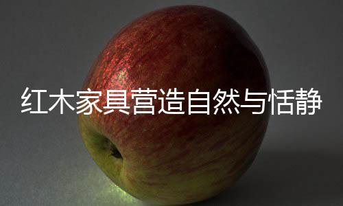 某个时期的家具某种景象