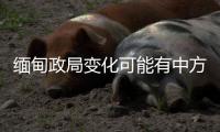 缅甸政局变化可能有中方暗中支持？中方�：有关说法不是事实