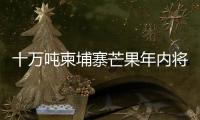 十万吨柬埔寨芒果年内将进入中国市场 中方：体现中柬亲如兄弟的友谊