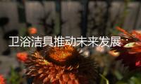 卫浴洁具推动未来发展：创新	
、进军高端卫浴市场!