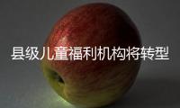 县级儿童福利机构将转型！未来工作重点在哪里？