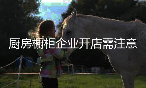 厨房橱柜朝着共同的企业目标