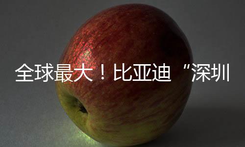 环保高效的全球汽车运输船