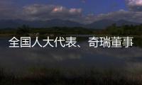 全国人大代表	、奇瑞董事长尹同跃：恶性竞争的“价格战”伤人伤己