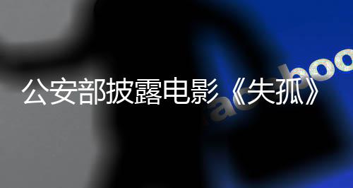 你的公安孤原拐卖儿子回来了
