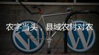 农字当头，县域农村对农行的贡献度有多高？丨透视银行业年报⑥
