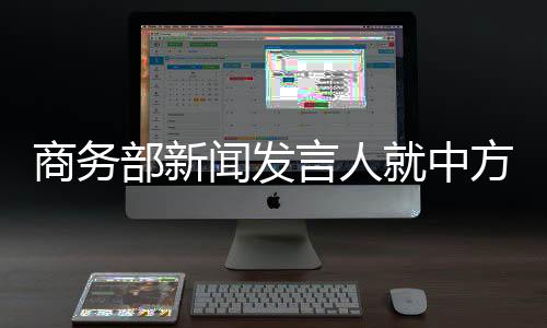 中方将根据世贸组织规则
