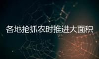 各地抢抓农时推进大面积单产提升
，持续夯实夏粮丰收基础