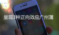 快排公司十年历程，霸屏兔 seo 的崛起与坚守
