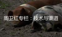 周卫红专栏：技术与渠道�，比克的双重坚持