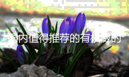 日本
、国内总部设在瑞士