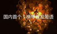 国内首个
！横琴首发葡语大模型