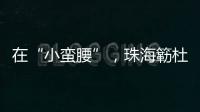 在“小蛮腰”，珠海簕杜鹃灿烂绽放
！