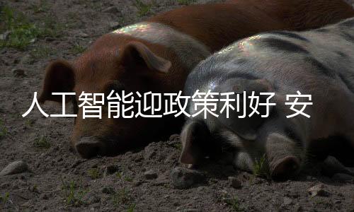 人工人驾智能家居等应用领域
