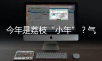 今年是荔枝“小年”？气候影响是主因