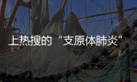 上热搜的“支原体肺炎”
	，究竟是啥？