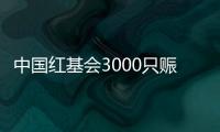中国红基会3000只赈济家庭箱驰援云南、青海地震灾区