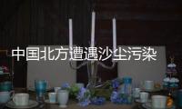 快排公司十年历程，霸屏兔 seo 的崛起与坚守