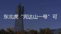 东北虎“完达山一号”可能已“脱单”	！