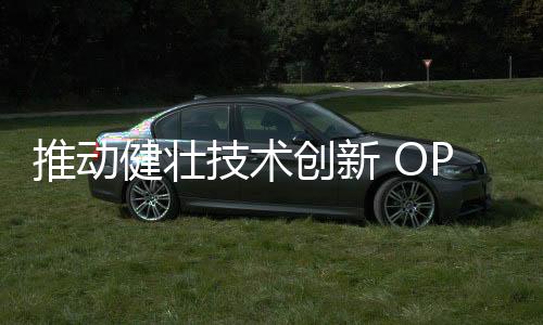 推动开放测试项目供大众体验