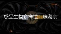 感受生物多样性，珠海亲子家庭走进植物与昆虫的奇妙世界