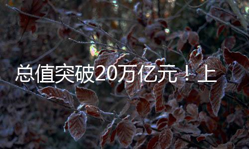 元上合计出口增长61.6%