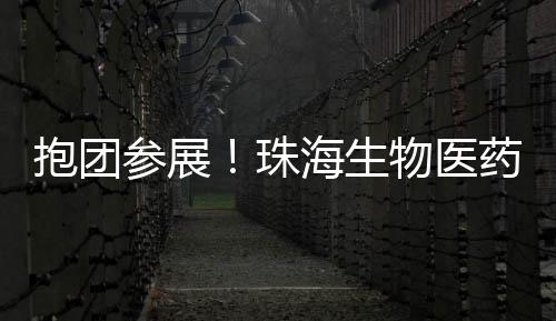 参展希望通过此次展会