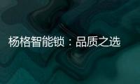 杨格智能锁�	：品质之选 腾讯QQfamily智能门锁独家供应商