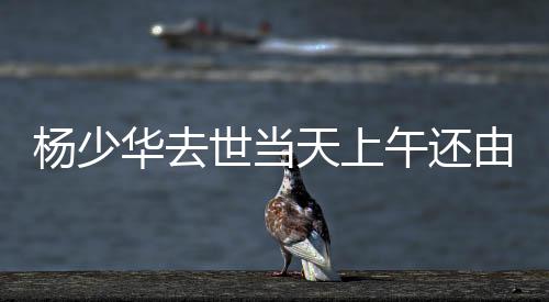 杨少由儿椅饭没看到有异常