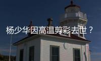 快排公司十年历程，霸屏兔 seo 的崛起与坚守