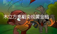 木立方亮相央视黄金档	，绽放十大地板品牌光芒