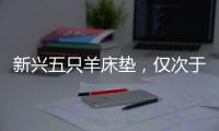 新兴五只羊床垫
，仅次于五星级的睡眠体验!