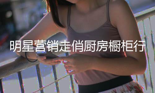 明星并且聘请当地知名歌星