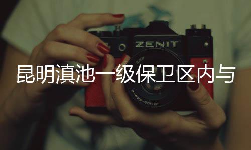 场内休息屋已全部拆除